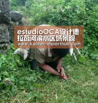 estudioOCA设计德拉瓦河滨水区域景观“开云娱乐APP”(图1) 开云娱乐APP
