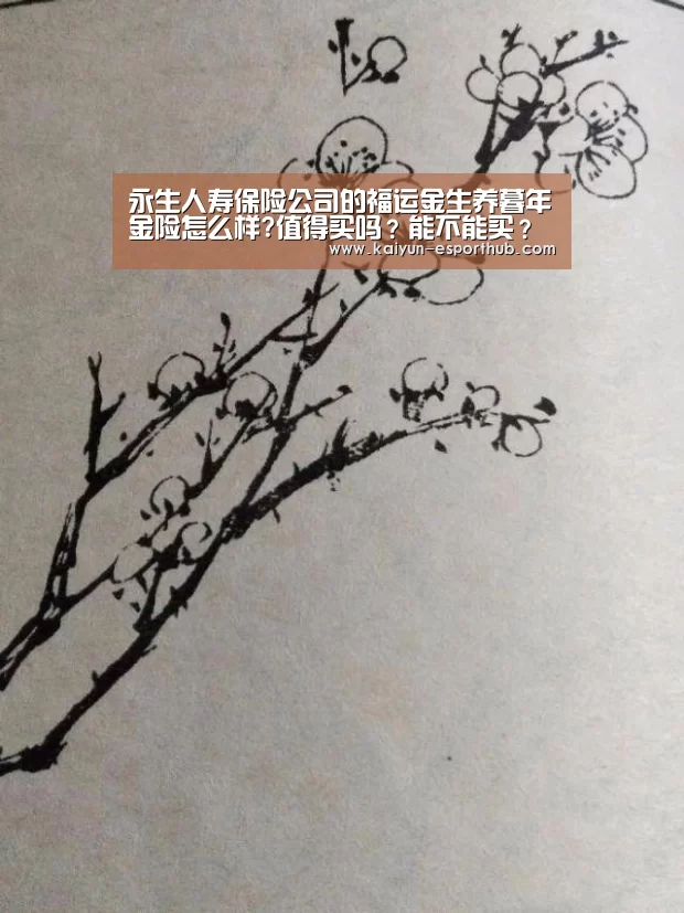 永生人寿保险公司的福运金生养暮年金险怎么样?值得买吗?能不能买?宁静吗?_开云电竞直播(图3) 开云电竞直播