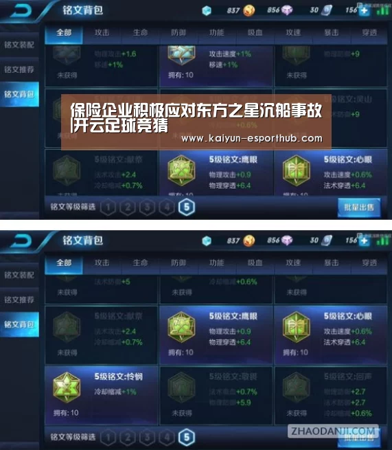 保险企业积极应对东方之星沉船事故|开云足球竞猜(图1) 开云娱乐APP