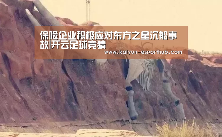 保险企业积极应对东方之星沉船事故|开云足球竞猜(图2) 开云足球竞猜