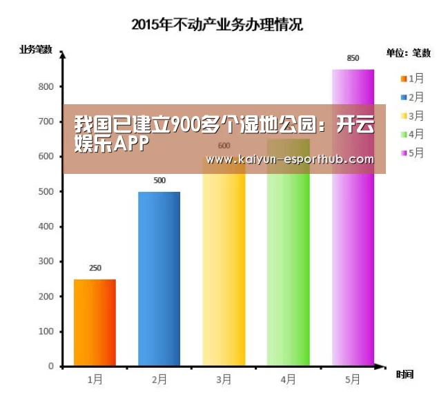 开云娱乐APP