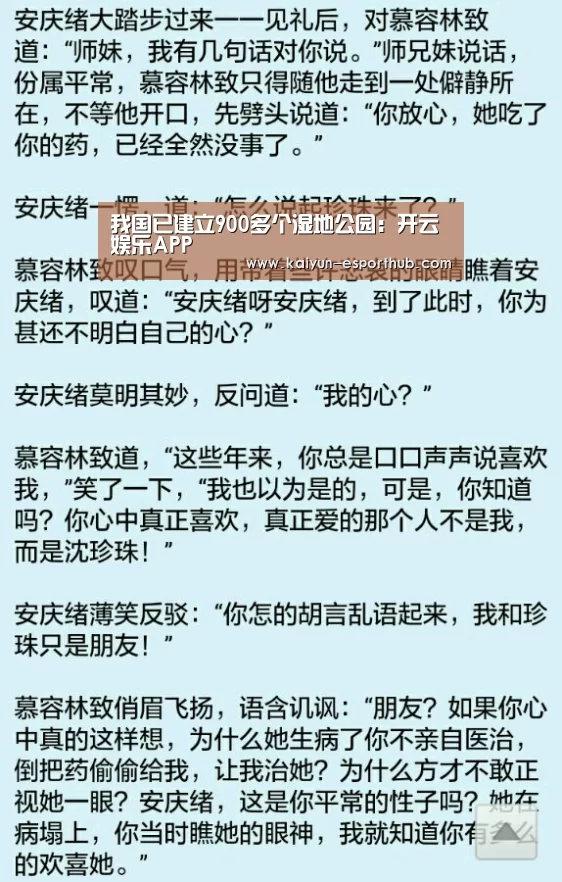 开云电竞直播