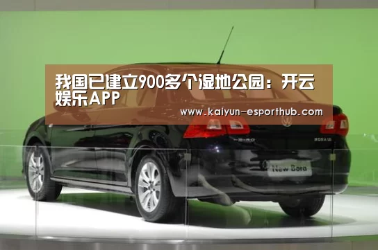 开云娱乐APP