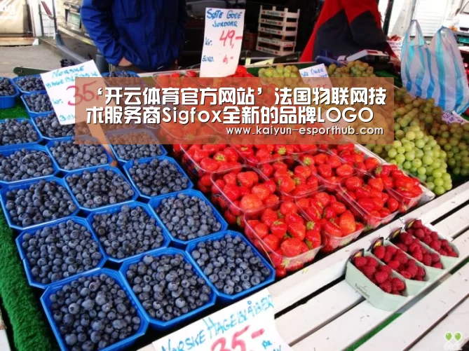 开云足球竞猜