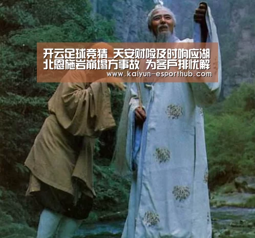 开云足球竞猜_天安财险及时响应湖北恩施岩崩塌方事故 为客户排忧解难(图1) 开云电竞直播