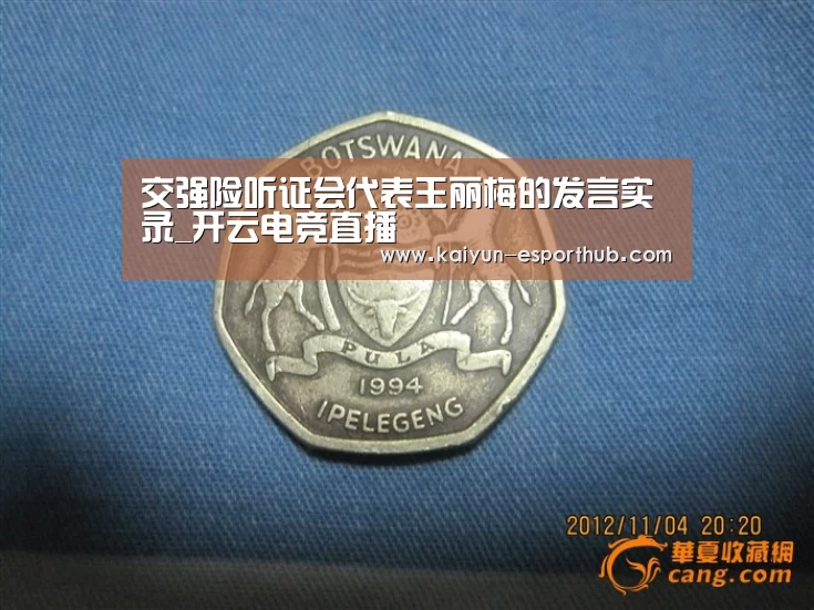交强险听证会代表王丽梅的发言实录_开云电竞直播(图1) 开云体育官方网站